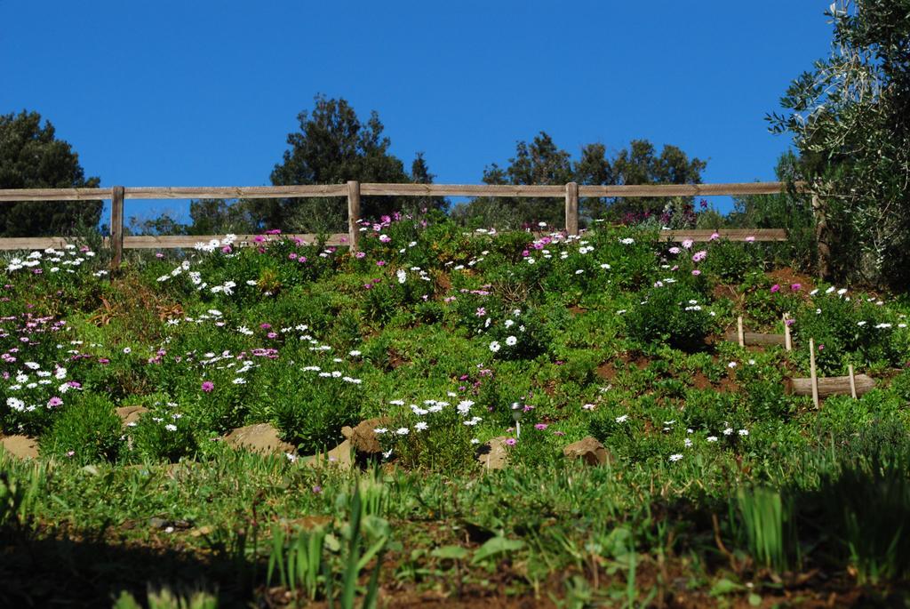 Séjour à la ferme Val Di Nappo Castiglione della Pescaia